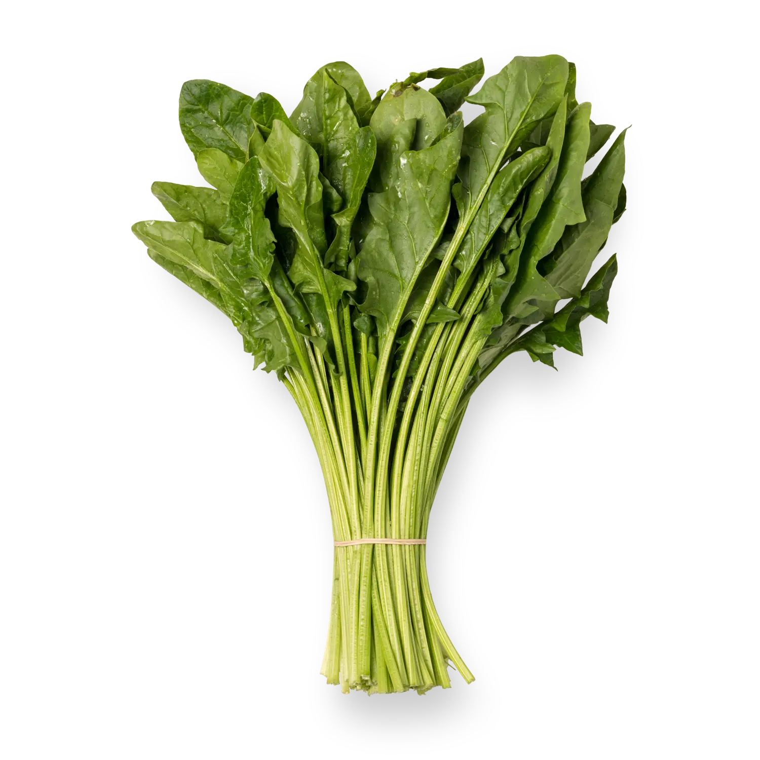 Espinacas