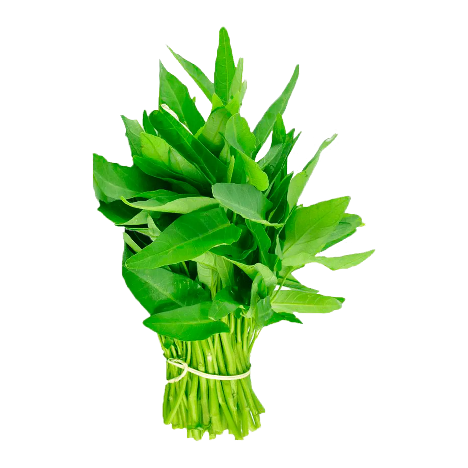 Saag